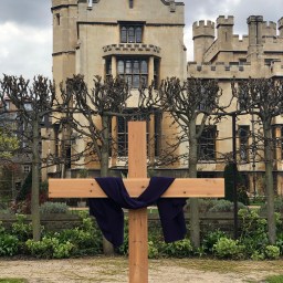 Consider the lilies…